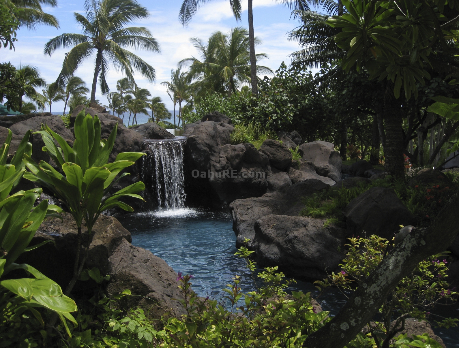 Waterfall on Oahu