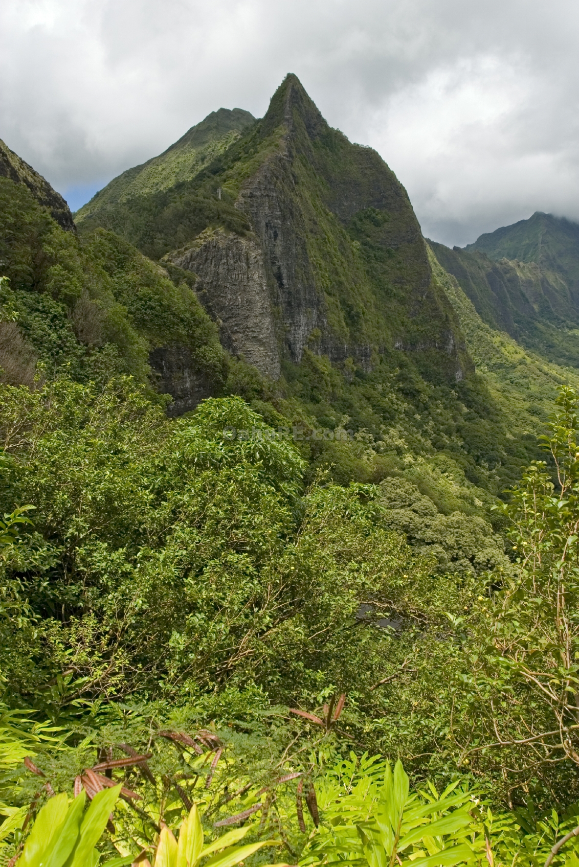 Pali Mountains