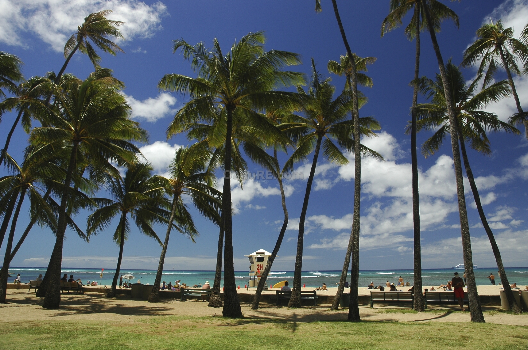Waikiki Beach