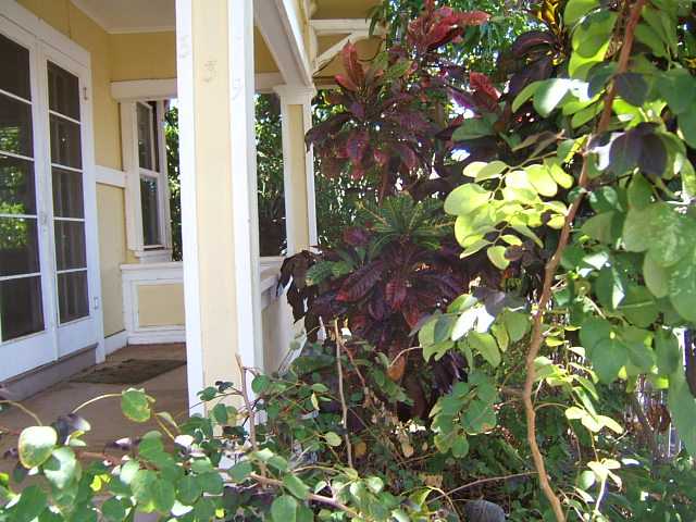 539 Malie Place