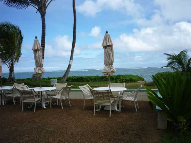 53567 Kamehameha Highway  Unit BL204