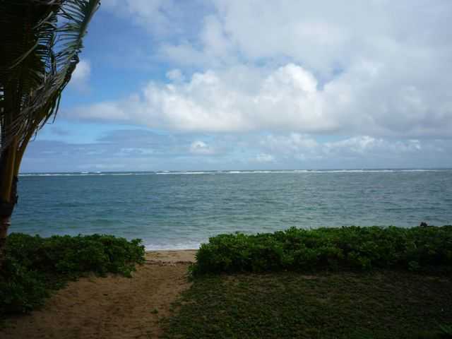 53567 Kamehameha Highway  Unit BL204