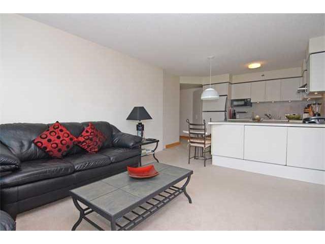 801 S King Street  Unit 1107