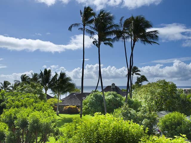 3063 Diamond Head Road