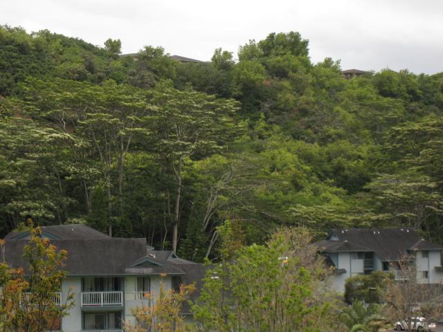 95932 WIKAO Street  Unit B304