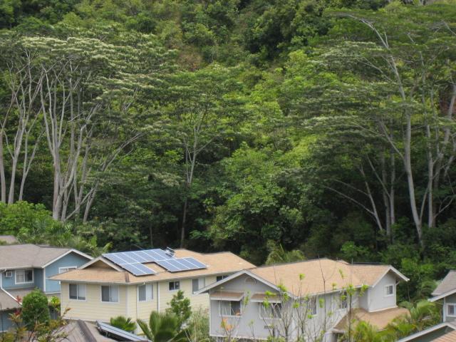 95932 WIKAO Street  Unit B304