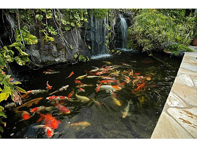 7096 Kalanianaole Highway