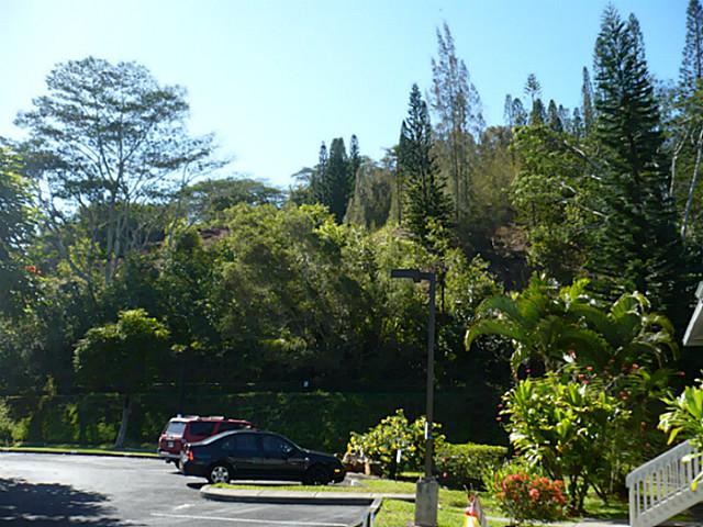 95790 Wikao Street  Unit P104