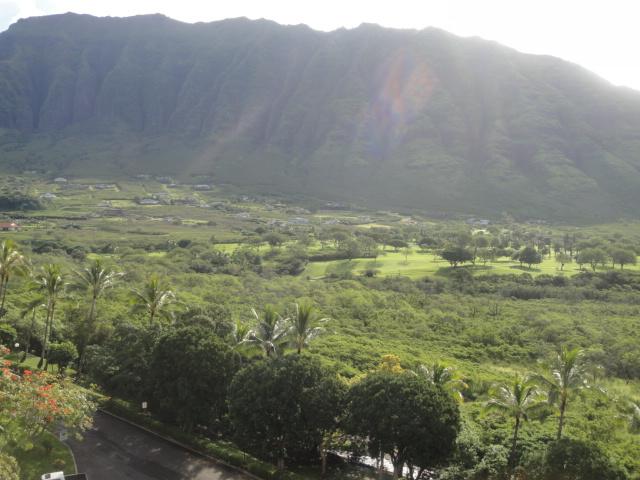 84740 Kili Drive  Unit G828