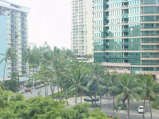 620 Mccully Street  Unit 502