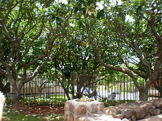 84755 Ala Mahiku Street  Unit 74B