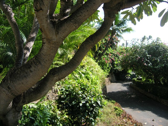 3200 Diamond Head Road