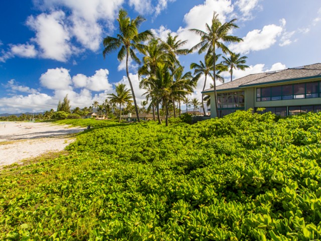 572 C N Kalaheo Avenue