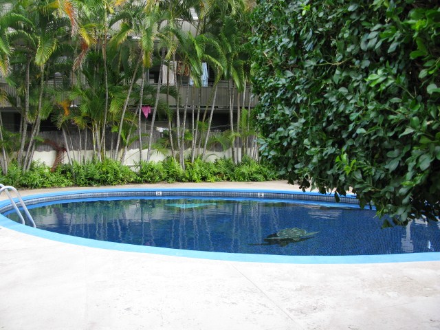 1617 keeaumoku Street  Unit 703
