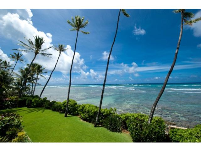3165 Diamond Head Road  Unit D