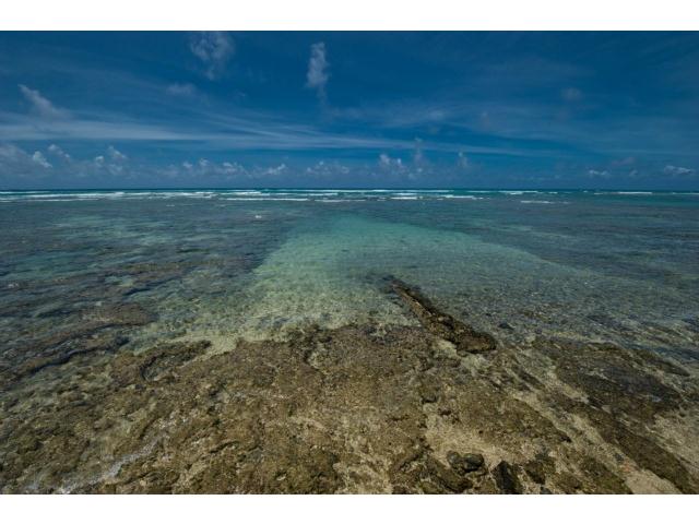 3165 Diamond Head Road  Unit D
