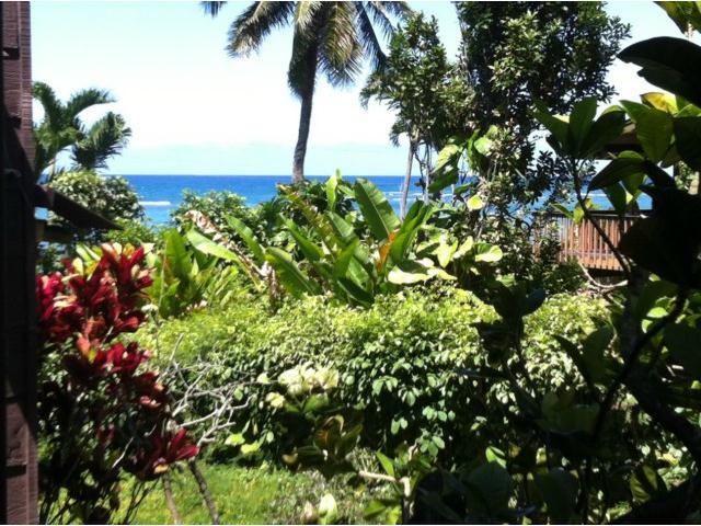 51-636 Kamehameha Highway  Unit 215