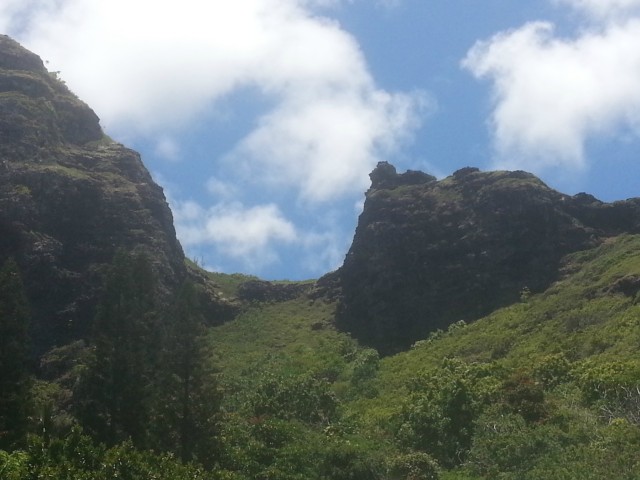 51-636 Kamehameha Highway  Unit 215