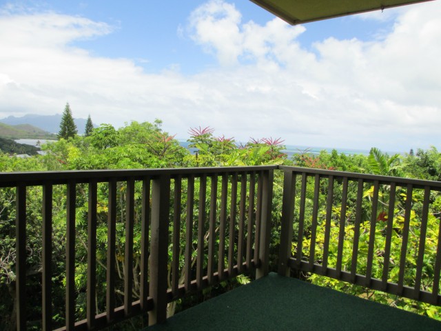 46-054 Puulena Street  Unit 916
