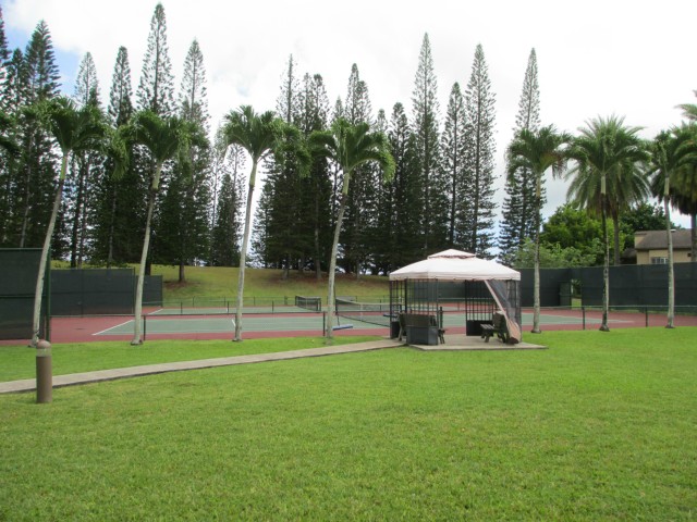 46-054 Puulena Street  Unit 916
