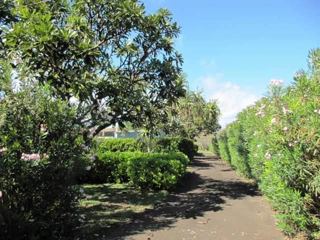 67-421 Waialua Beach Road