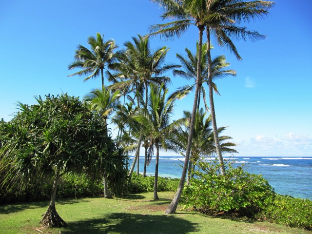 67-421 Waialua Beach Road