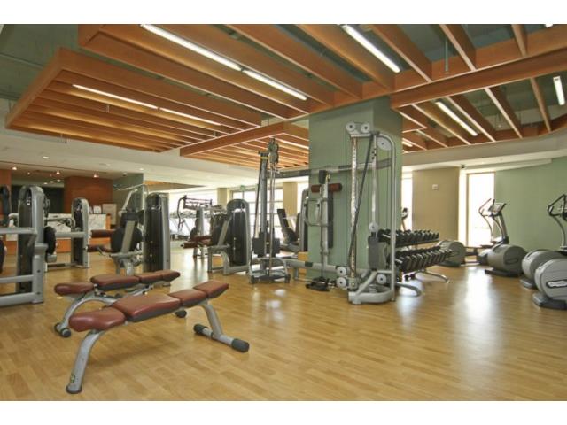 410 Atkinson Drive  Unit 1201