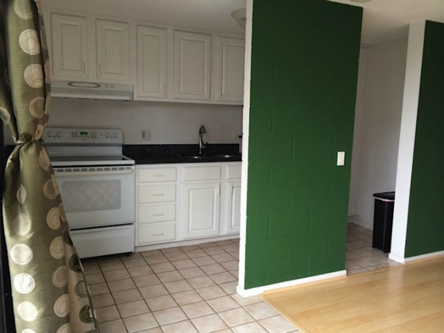 1541 Dominis Street  Unit 905