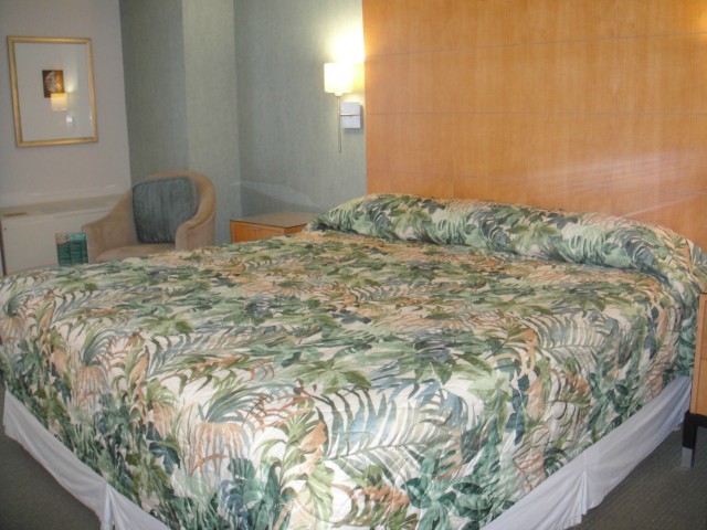 410 Atkinson Drive  Unit 3004