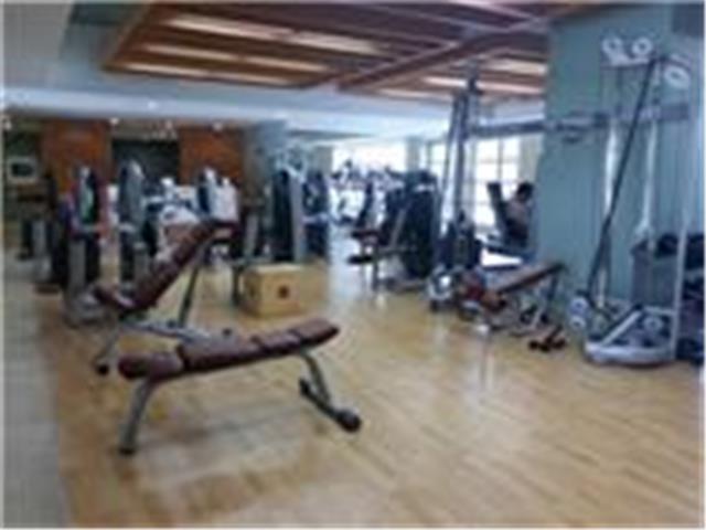 410 Atkinson Drive  Unit 3004
