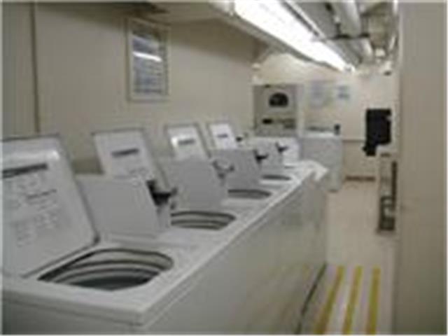 410 Atkinson Drive  Unit 3004
