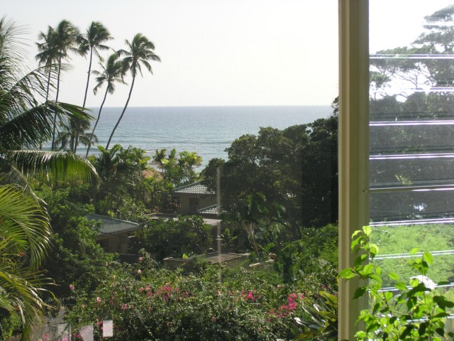 3200 Diamond Head Road  Unit 3