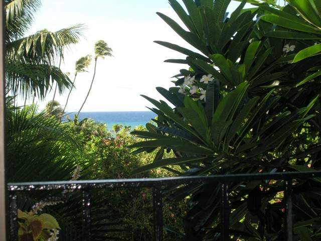 3200 Diamond Head Road
