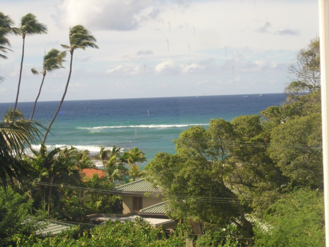 3200 Diamond Head Road