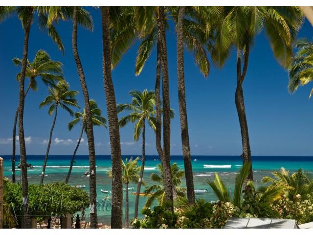 2895 Kalakaua Avenue  Unit 206