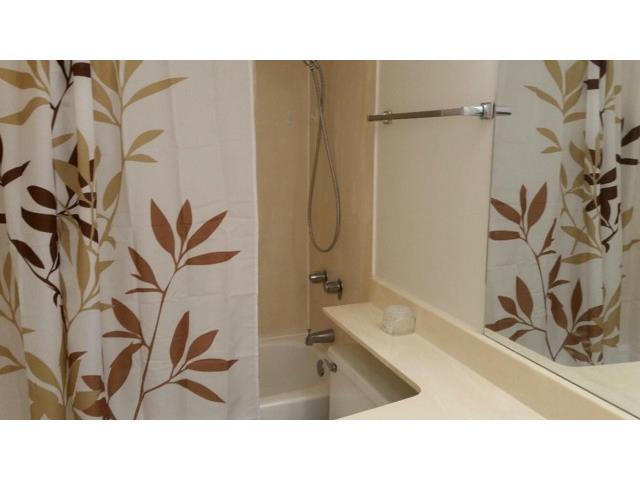 3138 Waialae Avenue  Unit 213
