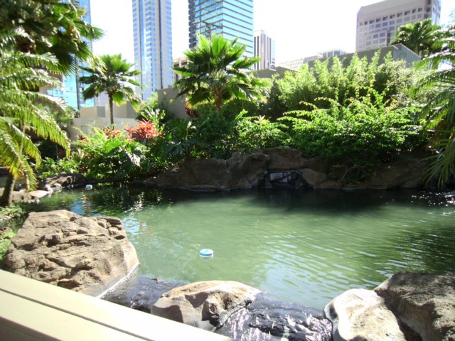 55 S Kukui Street  Unit D2613
