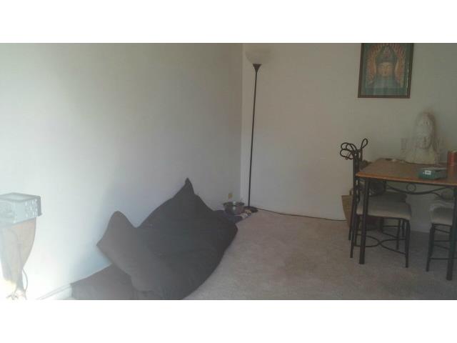 1036 Green Street  Unit 204