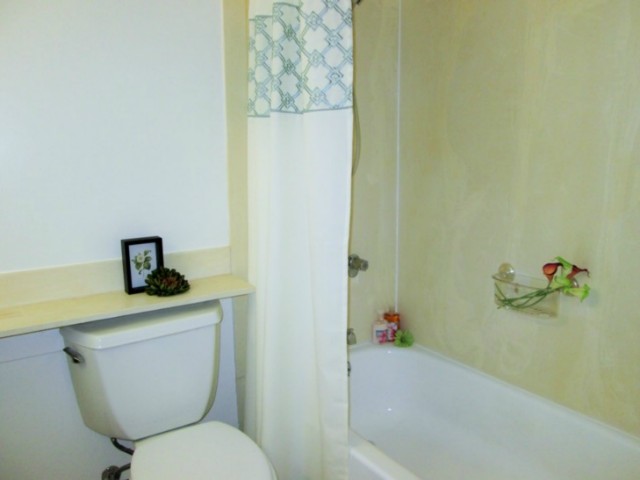 3138 Waialae Avenue  Unit 213