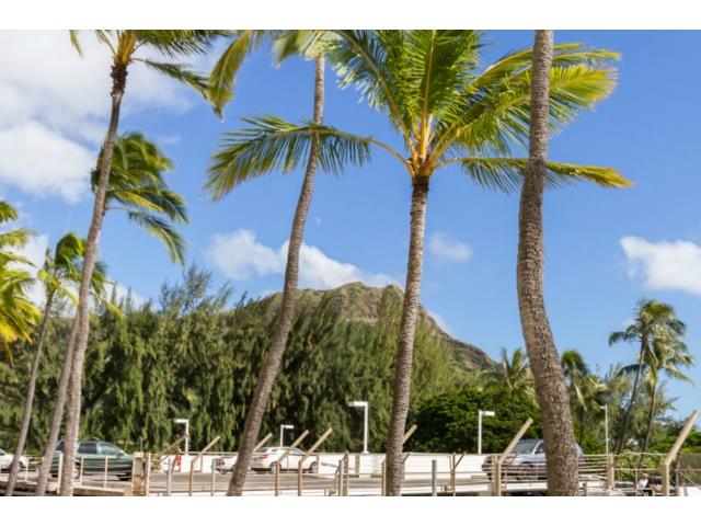 2895 Kalakaua Avenue  Unit 206
