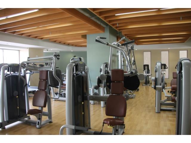 410 Atkinson Drive  Unit 1337