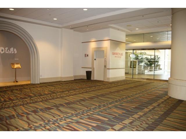 410 Atkinson Drive  Unit 1337