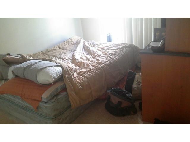 1036 Green Street  Unit 204