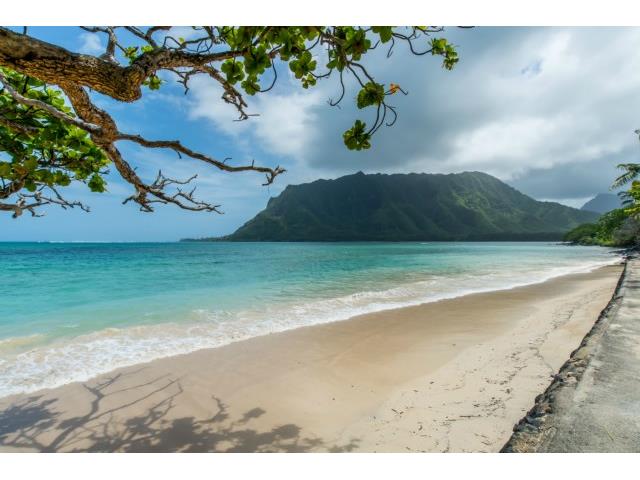 53-043 Kamehameha Highway