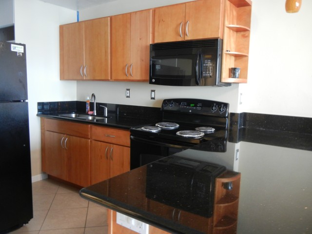 435 Seaside Avenue  Unit 1508