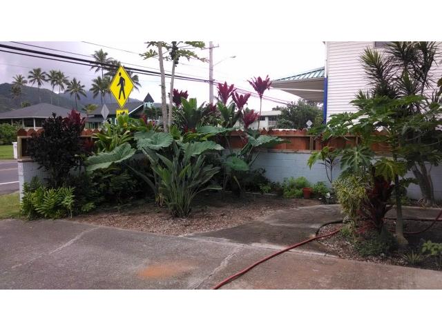 53-837 Kamehameha Highway