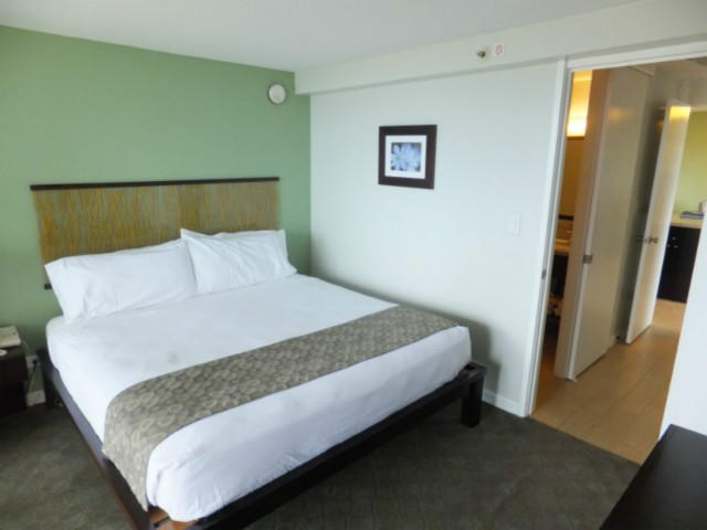 445 Seaside Avenue  Unit 3101