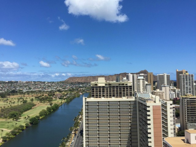 445 Seaside Avenue  Unit 3101
