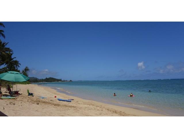 53-567 Kamehameha Highway  Unit BL204
