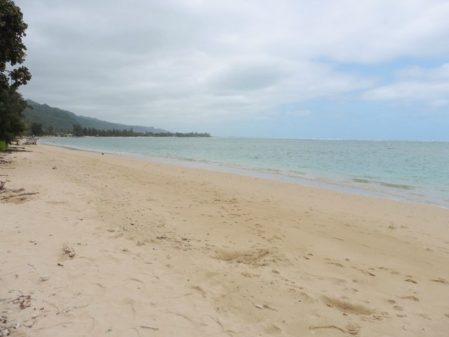 53-227 Kamehameha Highway